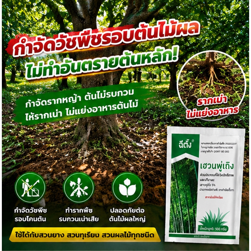 💥รากเน่ารากไม่ขึ้นอีก💥 ยากำจัดต้นไม้สารกำจัดกอไผ่ผงกำจัดต้นไผ่ยาฆ่าตอไม้