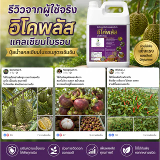 อีโค่พลัส แคลเซียมโบรอน เพิ่มการผสมเกสร ลดการหลุดร่วงของผล ลดปัญหาผลแตก ขนาด 4ลิตร