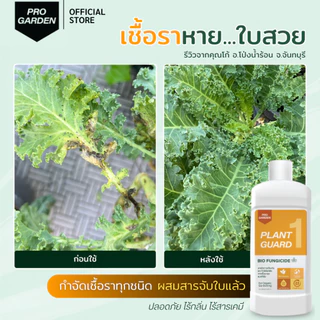 ProGarden ป้องกันและกำจัดเชื้อรา (ชนิดผสมน้ำ) ราใบจุด ราน้ำค้าง สารสกัดธรรมชาติ ไร้กลิ่น ไร้สารเคมี กับพืชทุกชนิด