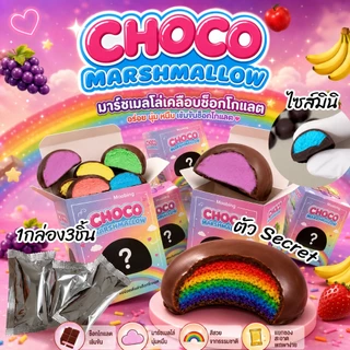 choco marshmallow มาร์ชเมลโล่เคลือบช็อกโกแลต 1กล่อง3ชิ้นมินิ รสผลไม้รวม มีรสซีเคร๊ดพร้อมส่ง มีบริการปลายทาง
