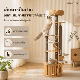 [FurryJoyคอนโดแมวไม้ยางพารา190cmหลุมอวกาศใหญ่พิเศษ ตะกร้าหวาย ที่ลับเล็บแมว แข็งแรง มั่นคงไม่ล้มง่าย