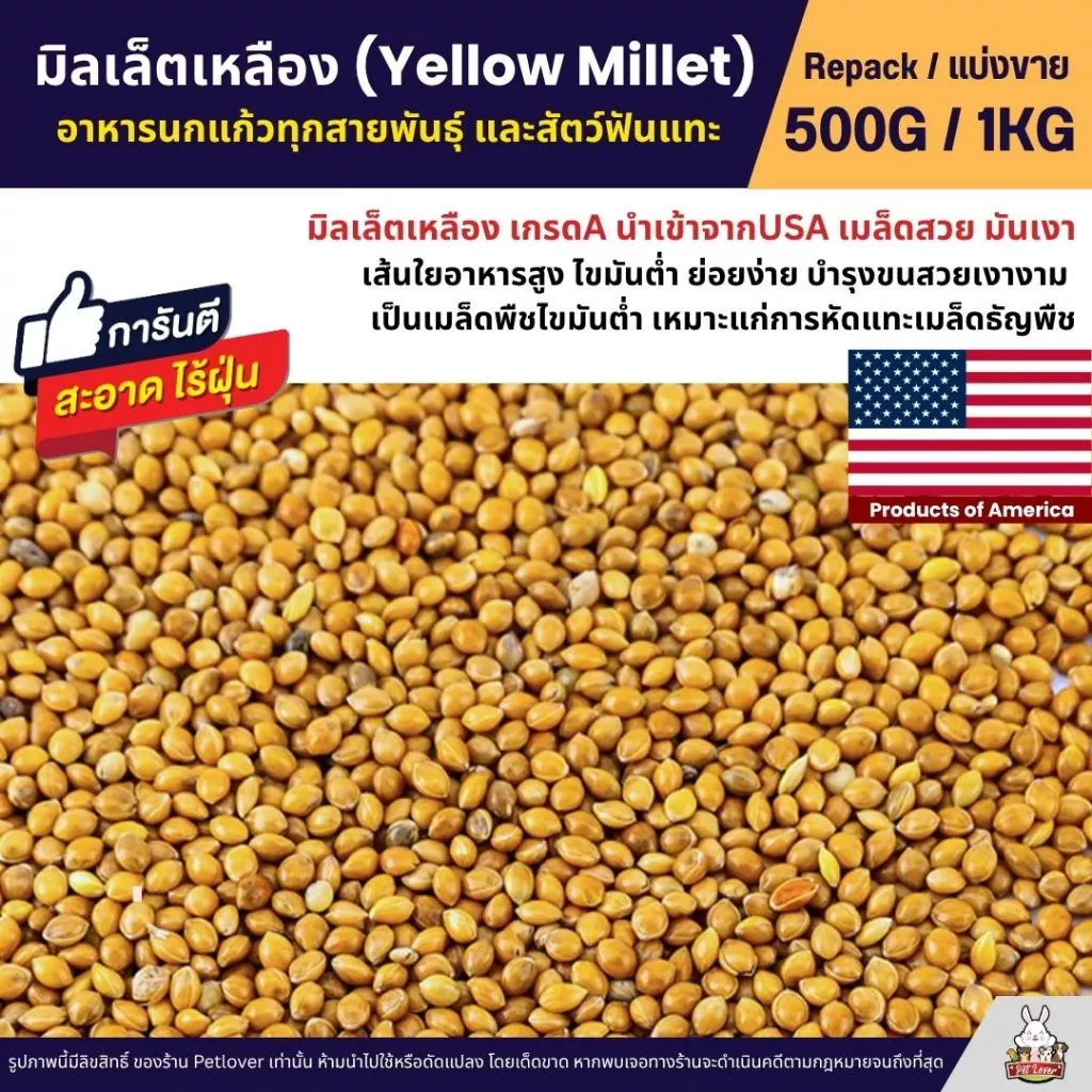 มิลเล็ตเหลือง Yellow Millet เกรดA อาหารนกแก้ว และสัตว์ฟันแทะ สะอาด ร่อนฝุ่น (แบ่งขาย 500G / 1KG)