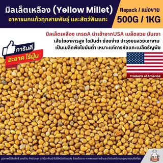 มิลเล็ตเหลือง Yellow Millet เกรดA อาหารนกแก้ว และสัตว์ฟันแทะ สะอาด ร่อนฝุ่น (แบ่งขาย 500G / 1KG)
