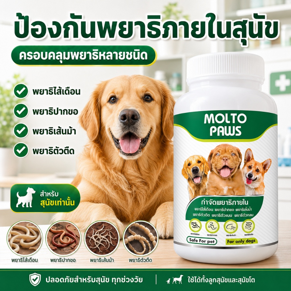 ถ่ายพยาธิสุนัข MOLTO PAWS จบครบทุกชนิด ลูกสุนัข ทุกสายพันธุ์ ดูแลระบบภายใน สุนัขแข็งแรง กินง่าย ทุก 3 เดือน