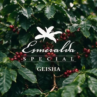 เมล็ดกาแฟ THE PANAMA SERIES by OLDMAN ROASTER