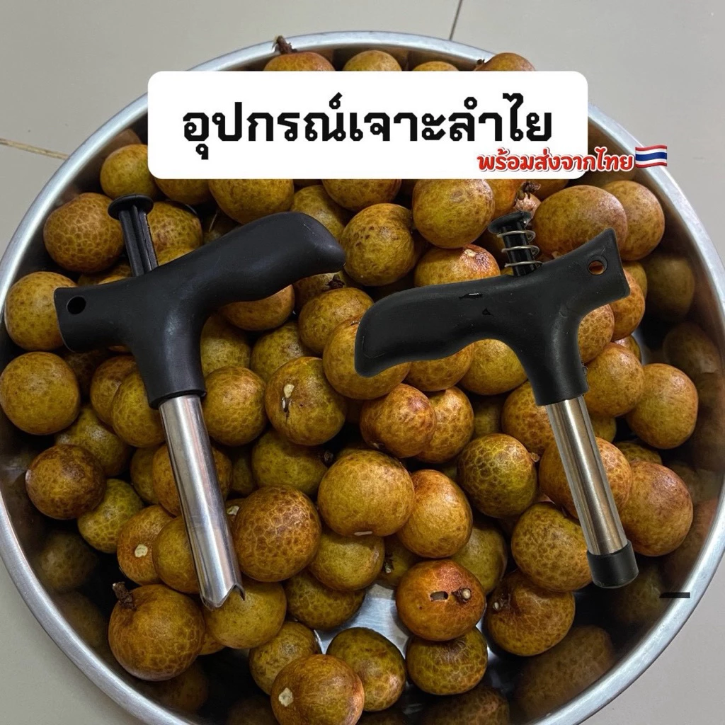 ที่เจาะเม็ดลำไย ที่เจาะลำไย ที่คว้านลำไย ลิ้นจี้ พุทรา