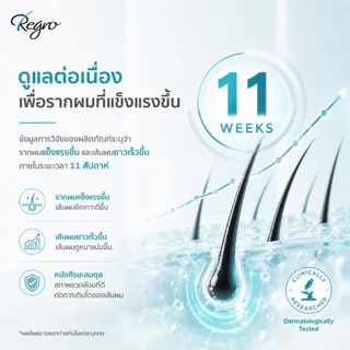Regro Hair Protective Shampoo Pack 2 โปรโมชั่นลดราคา แชมพูลดผมร่วง สำหรับผมมัน 2 กล่อง