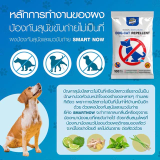 ไล่หมา ป้องกันสุนัข ป้องกันสุนัขขับถ่าย เข้มข้น 2 in 1