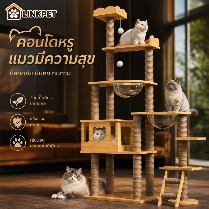 คอนโดแมวไม้ บ้านแมวสูง ที่นอนแมว โดมใส บันไดปีนแมว คอนโดแมวหลายชั้น เฟอร์นิเจอร์แมว มินิมอล