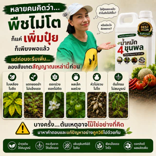 น้ำหมัก 4 ขุนพล | ปุ๋ยน้ำชีวภาพสูตรเข้มข้น จากขี้หมู ขี้วัว ขี้ไก่ และน้ำหมักปลา ฟื้นฟูดิน บำรุงราก ใบ ดอก ผล ขนาด 1ลิตร