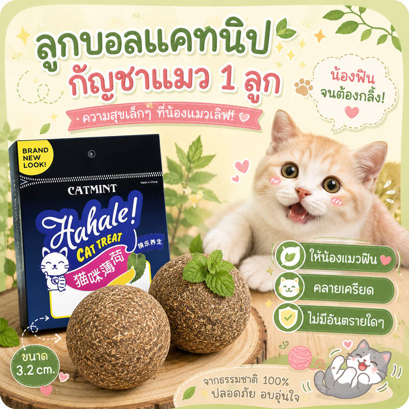 🌵 catnipบอล ลูกบอลแมว แคทนิปบอล Catnip Ball กัญชาแมว ขนมแมว ของเล่นแมวเลีย แปะกำแพง ball herb 🌵