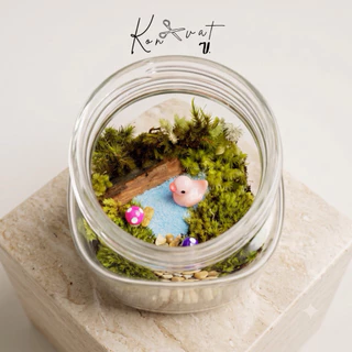 [ถูกที่สุด] ✿ ชุดจัดสวนขวด / Terrarium (DIY) *พร้อมอุปกรณ์เยอะที่สุด*