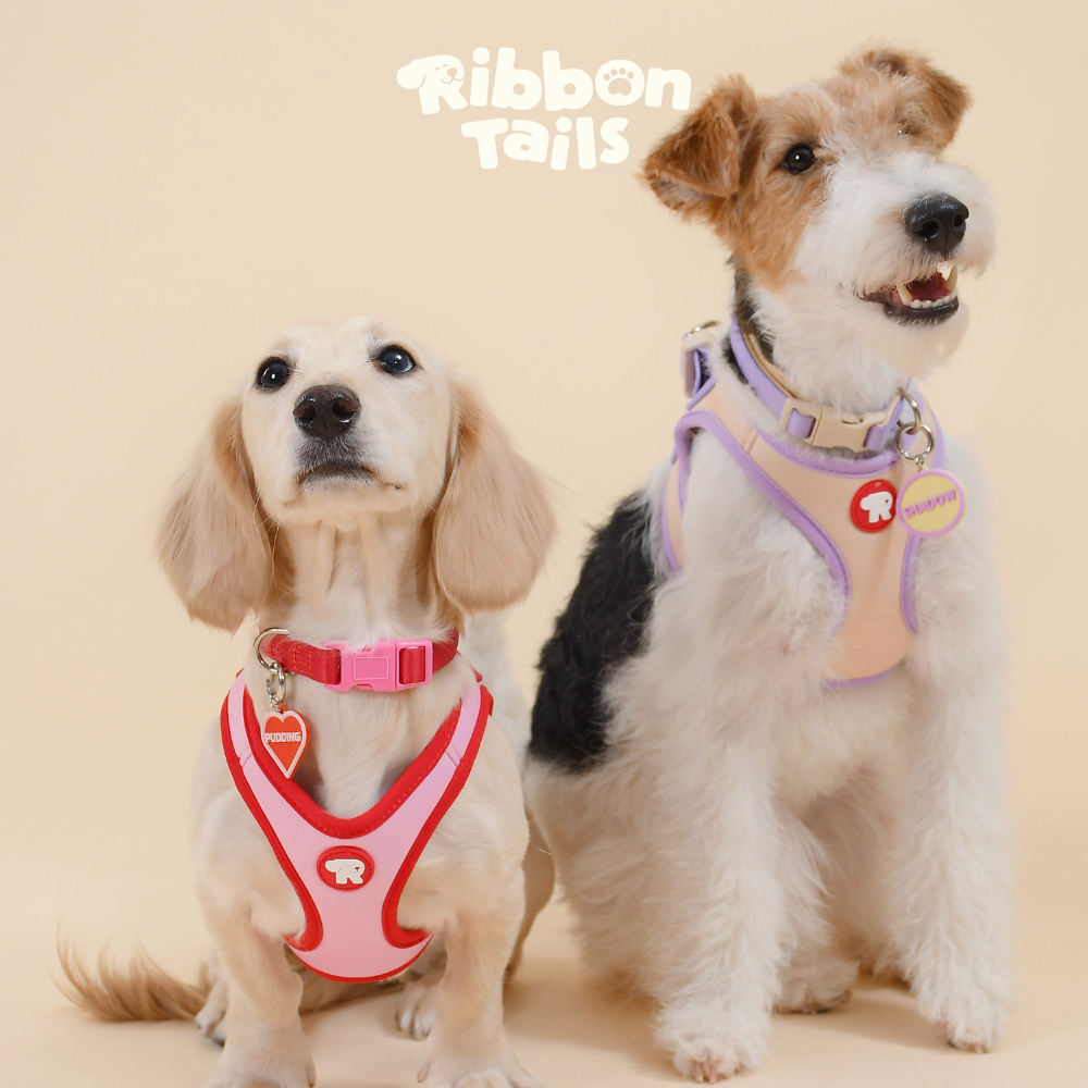 RibbonTails - HARNESS สายรัดอก สัตว์เลี้ยง Bloom Collection