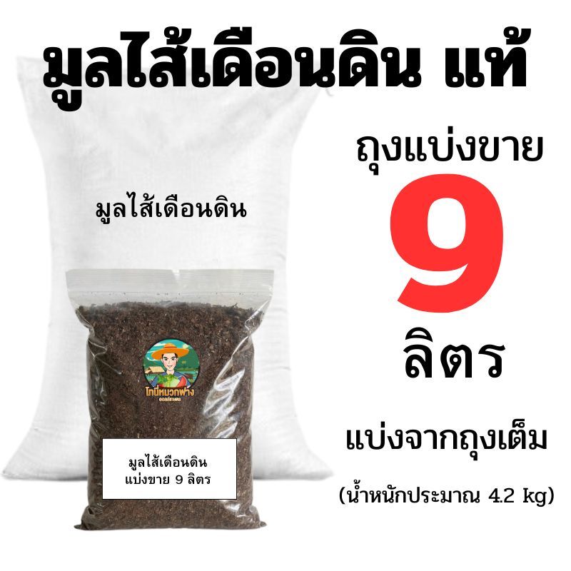 มูลไส้เดือนดินแท้ แบ่งขาย 0.5-9 ลิตร