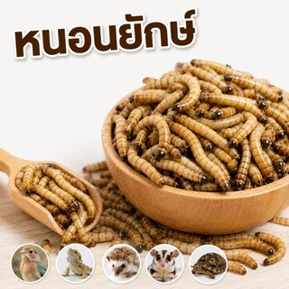 Super worm ✨ส่งด่วน-ส่งทันที✨โปรตีนสำหรับสัตว์เลี้ยง ขนาด 100-400 กรัม