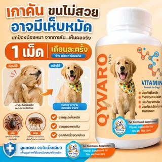 หมดปัญหาเห็บหมัด Qyvaro ป้องกันเห็บหมัด ลดคัน ขนร่วง กินง่าย เดือนละครั้ง