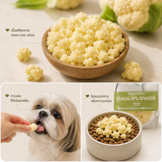 BarknPurr ขนมสุนัขฟรีซดราย ดอกกะหล่ำ Freeze-Dried Cauliflower Dog Treat & Topper Human Grade 26g