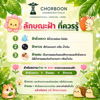 Chorboon Melanima anti-melasma & Whitening Serum ช่อบูรณ์เมลานิม่า แอนติ-เมลาสม่า แอนด์ไวท์เทนนิ่ง