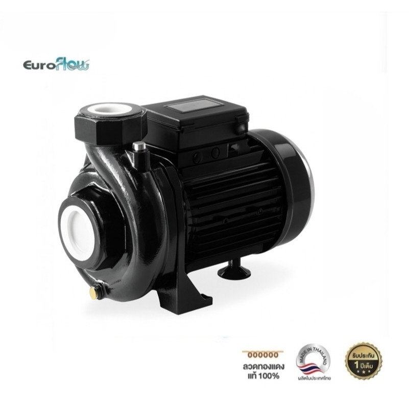 EUROFLOW ปั๊มน้ำหอยโข่ง รุ่น WR100 1HP ท่อเข้า - ท่อออก 1.5นิ้ว 1แรงม้า