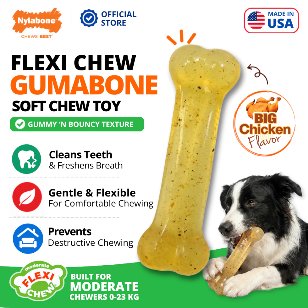 🇺🇸Made in USA🇺🇸 Nylabone Flexi Chew Toy Gumabone Original Bone ของเล่นขัดฟันสุนัข เนื้อนุ่ม ไร้สารพิษ