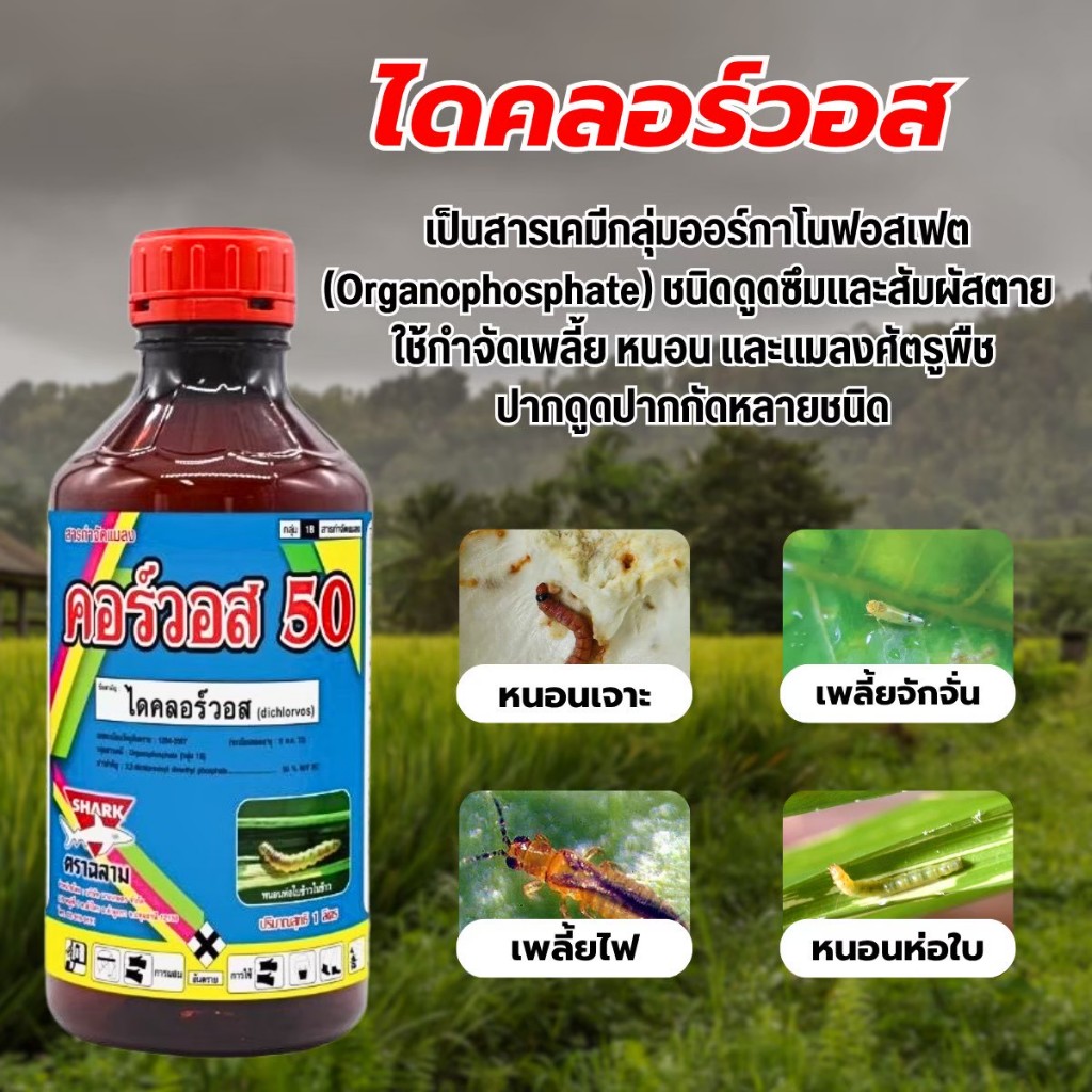 คอร์วอส ไดคลอร์วอส 50% W/V EC 1 ลิตร #ไดคอวอส #ไดคลอวอส