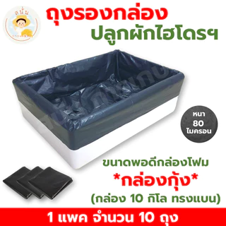 (ส่งด่วน) กล่องโฟมปลูกผักไฮโดรโปนิกส์ ลังโฟมปลูกผัก ขนาด 24 ลิตร พร้อมถ้วยปลูกและถุงรองกล่องโฟม