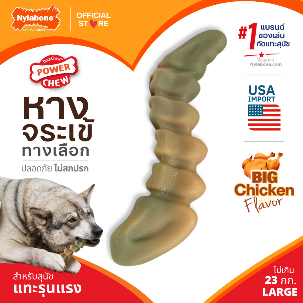 นำเข้าจาก USA Nylabone Power Chew Gator Tail Alternative ของเล่นกระดูกขัดฟันสุนัข ทรงหางจระเข้