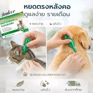 【ซื้อ1แถม1】ผลิตภัณฑ์กำจัดเห็บหมัดแบบหยด สำหรับสัตว์เลี้ยง 1กล่อง/3ชิ้น