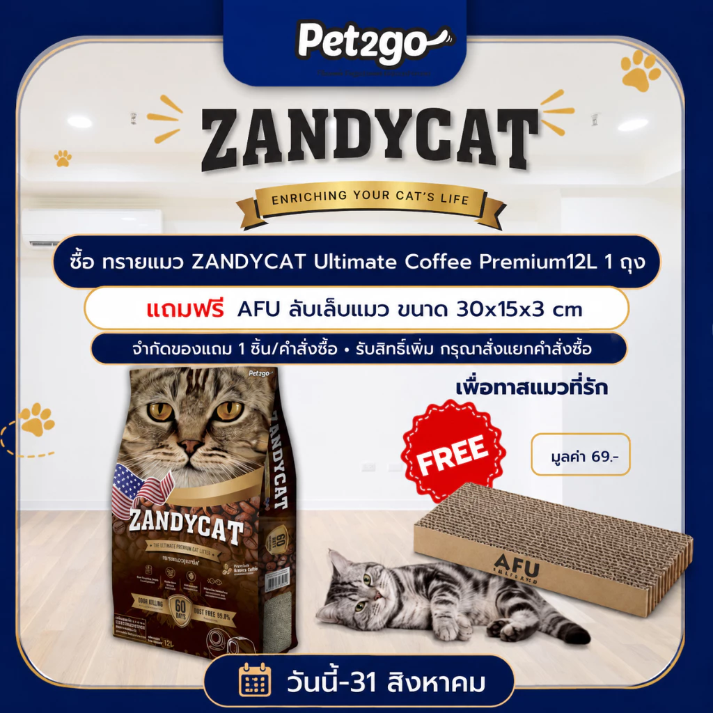 [โปรแถมที่ลับเล็บแมว ฟรี! จำกัดของแถม 1 ชิ้น/คำสั่งซื้อ ] ZANDY CAT ทรายแมวภูเขาไฟ อัลทีเมทพรีเมียม 12L กลิ่นกาแฟ จับตัว