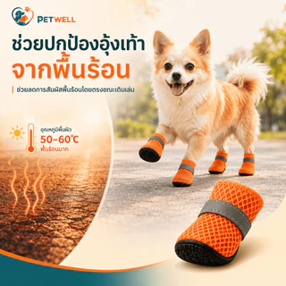 รองเท้าสุนัข PETWELL ชุด 4 ชิ้น ระบายอากาศ กันลื่น เหมาะสำหรับฤดูร้อนและกลางแจ้ง
