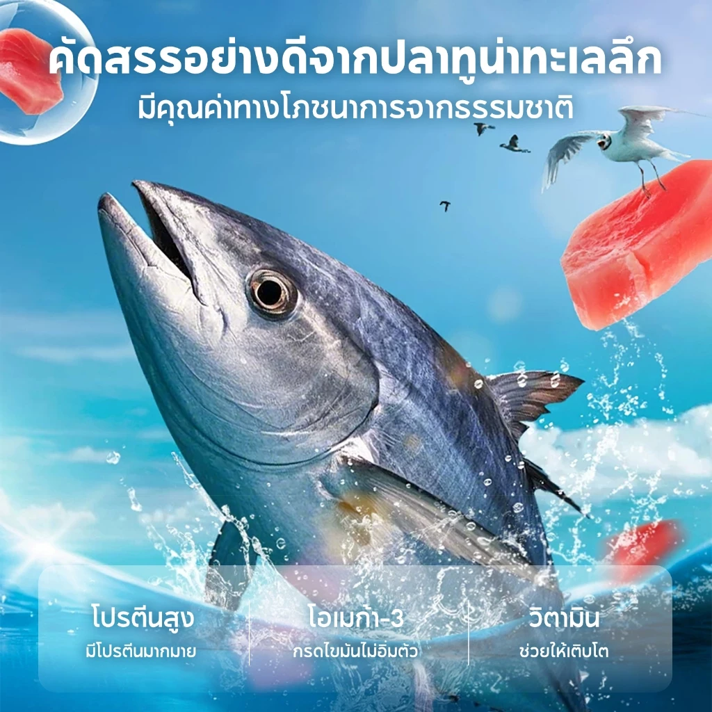 สินค้าใหม่ กระป๋องสุนัข PET RECORD 430g ทูน่าเนื้อแดง 3รส โปรตีนสูง น้ำซุปเติมน้ำ โอเมก้า3 บำรุงขนสุนัขทุกวัย thumbnail 3