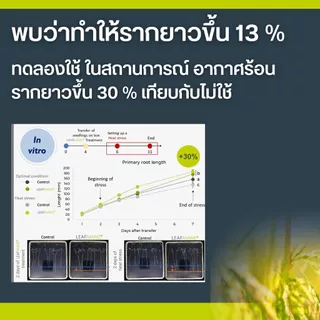 มหิงสา อะมิโนพืช กรดอะมิโนอิสระ สกัดเข้มข้น 49% ส่งเสริมให้พืชดูดซึมอาหารได้ดี ทำให้พืชเจริญเติบโตดี