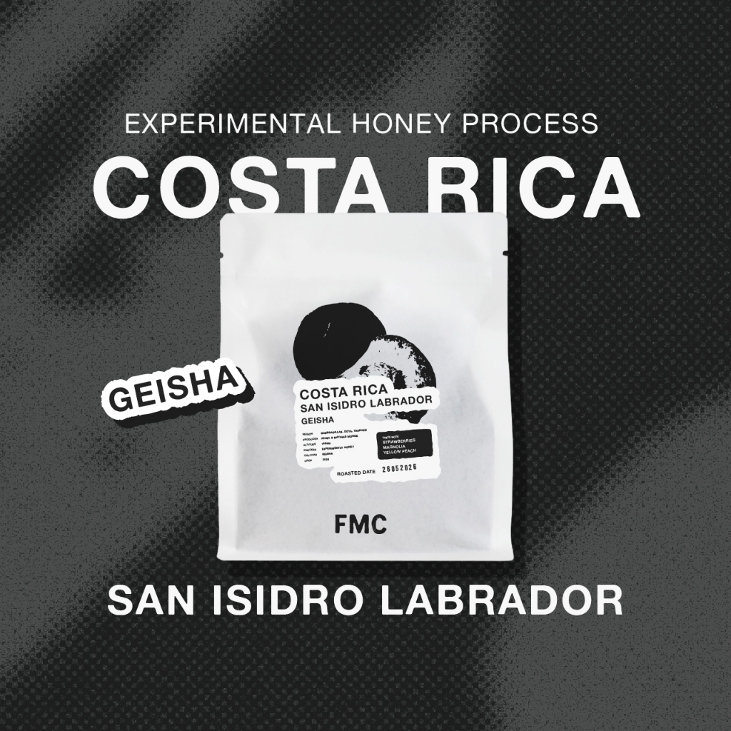 Feast Monday Coffee - เมล็ดกาแฟคั่วอ่อน Costa Rica San Isidro Labrador Geisha (Light Roast) Honey