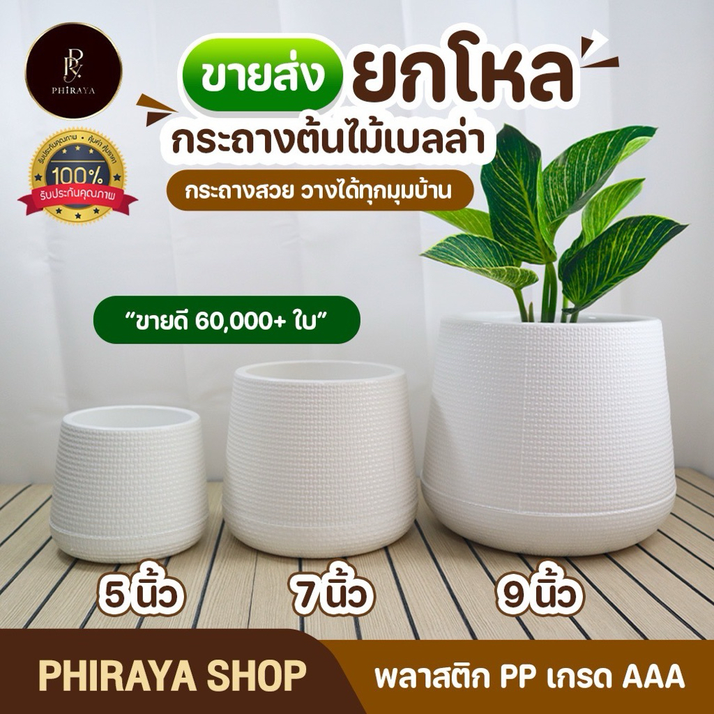 กระถางต้นไม้ เบลล่า มินิมอล 5 7 9 นิ้ว ขายส่งยกโหล พลาสติก PP เกรด AAA