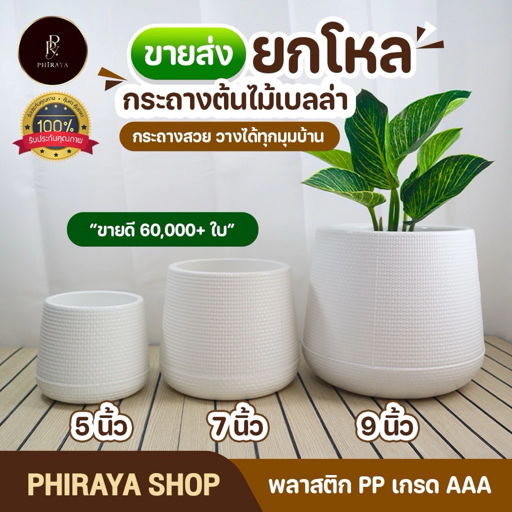 กระถางต้นไม้ เบลล่า มินิมอล 5 7 9 นิ้ว ขายส่งยกโหล พลาสติก PP เกรด AAA