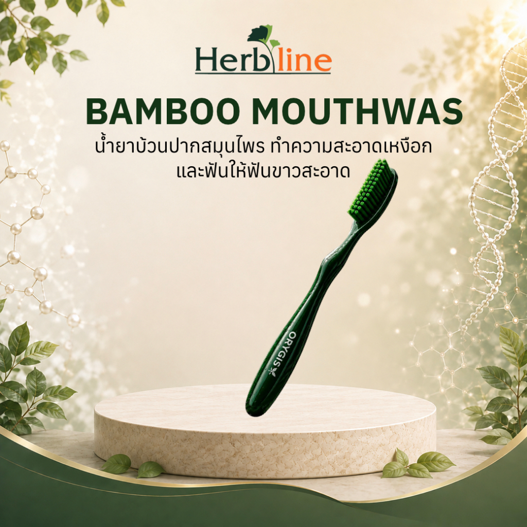 BambooToothbrush (แปรงสีฟัน)