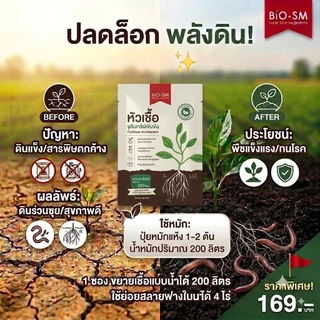 จุลินทรีย์ Biosm ใช้ฟื้นฟูดิน ทำปุ๋ยหมักในซองเดียว ใช้ปรับปรุงบำรุงดิน ย่อยสลายวัสดุอินทรีย์ ขนาด 100 กรัม