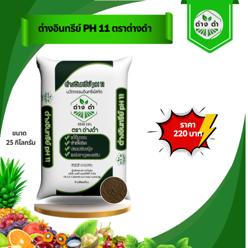“ด่างดำ” อินทรีย์ pH11 ขนาด 25 กิโลกรัม
