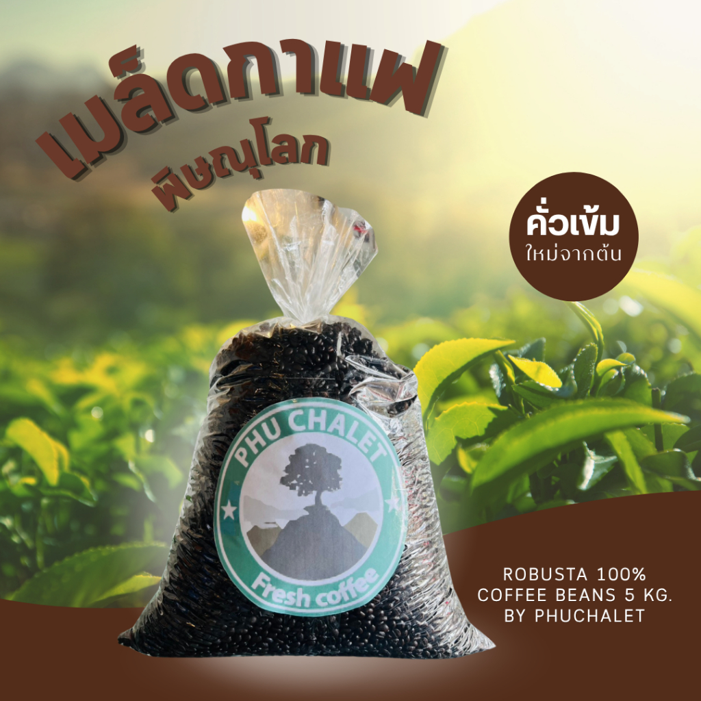 Robusta Coffee Beans 100% – Dark Roast  5 kg | เมล็ดกาแฟโรบัสต้า 100% คั่วเข้ม เกรดรวม 5 กิโลกรัม