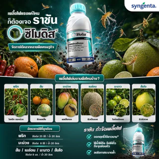 ซิโมดิส ซินเจสทา ขนาด 250ซีซี สารกำจัดแมลงกลุ่มใหม่ ครอบคลุมทุกแมลงในขวดเดียว