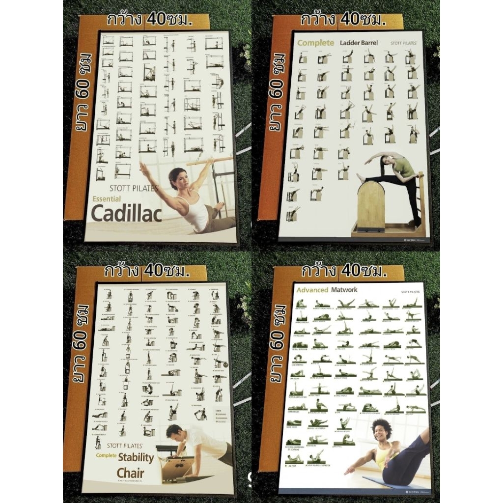 Stott Pilates โปสเตอร์พร้อมกรอบ ขนาด 40 * 60 เซนติเมตร #Pilates #Yoga #Reformer#Cardilac #Ladderbara
