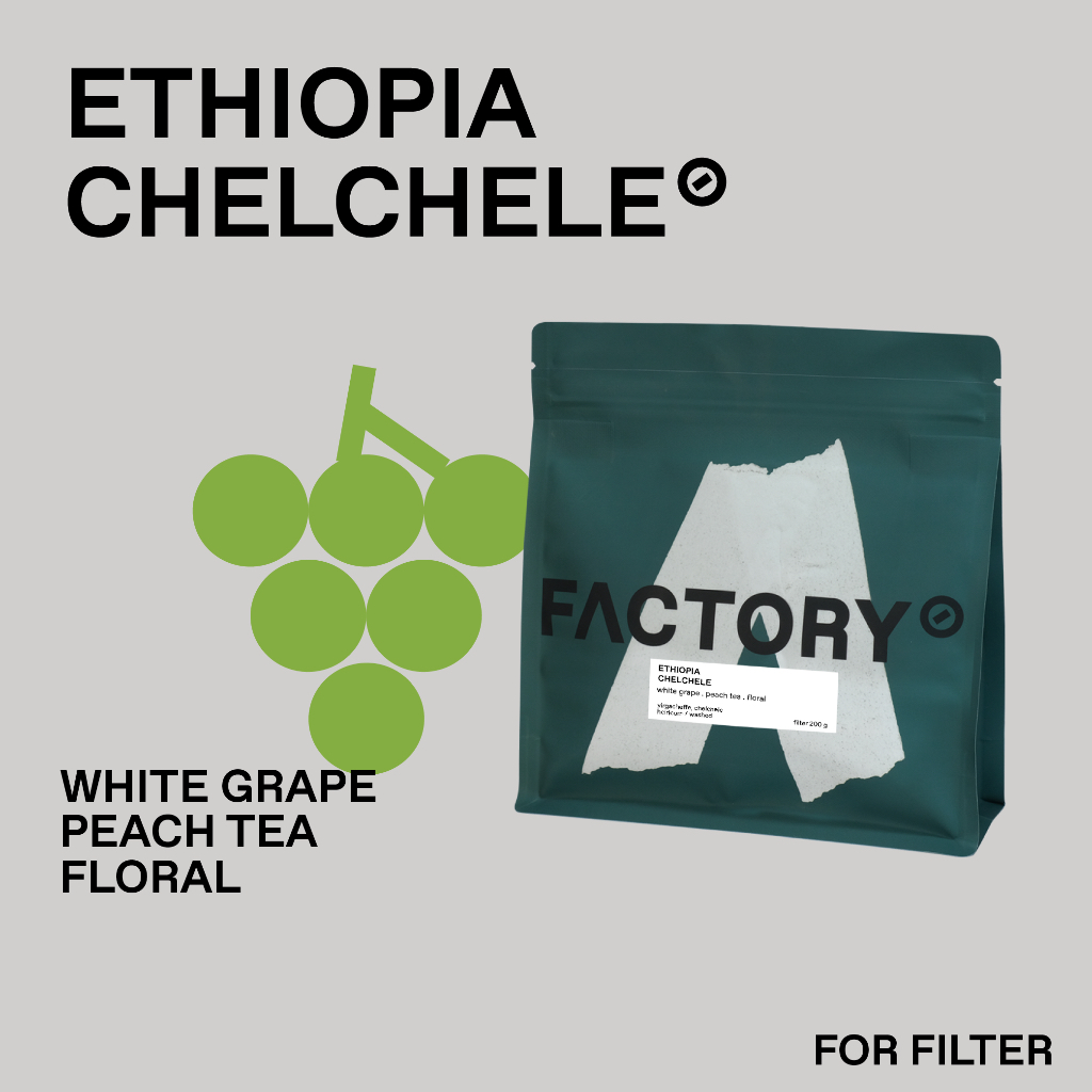 Factory Coffee เมล็ดกาแฟ Ethiopia - Chelchele (Heirloom) l Washed Process (บรรจุ200g)