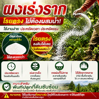 🛡️100% รากไม้เน่า ยาฆ่าต้นไม้ใหญ ยาฆ่าตอไม้ สารกำจัดกอไผ่ ตรงไปที่ราก กำจัดวัชพืชรากเน่า ขนาด 500g