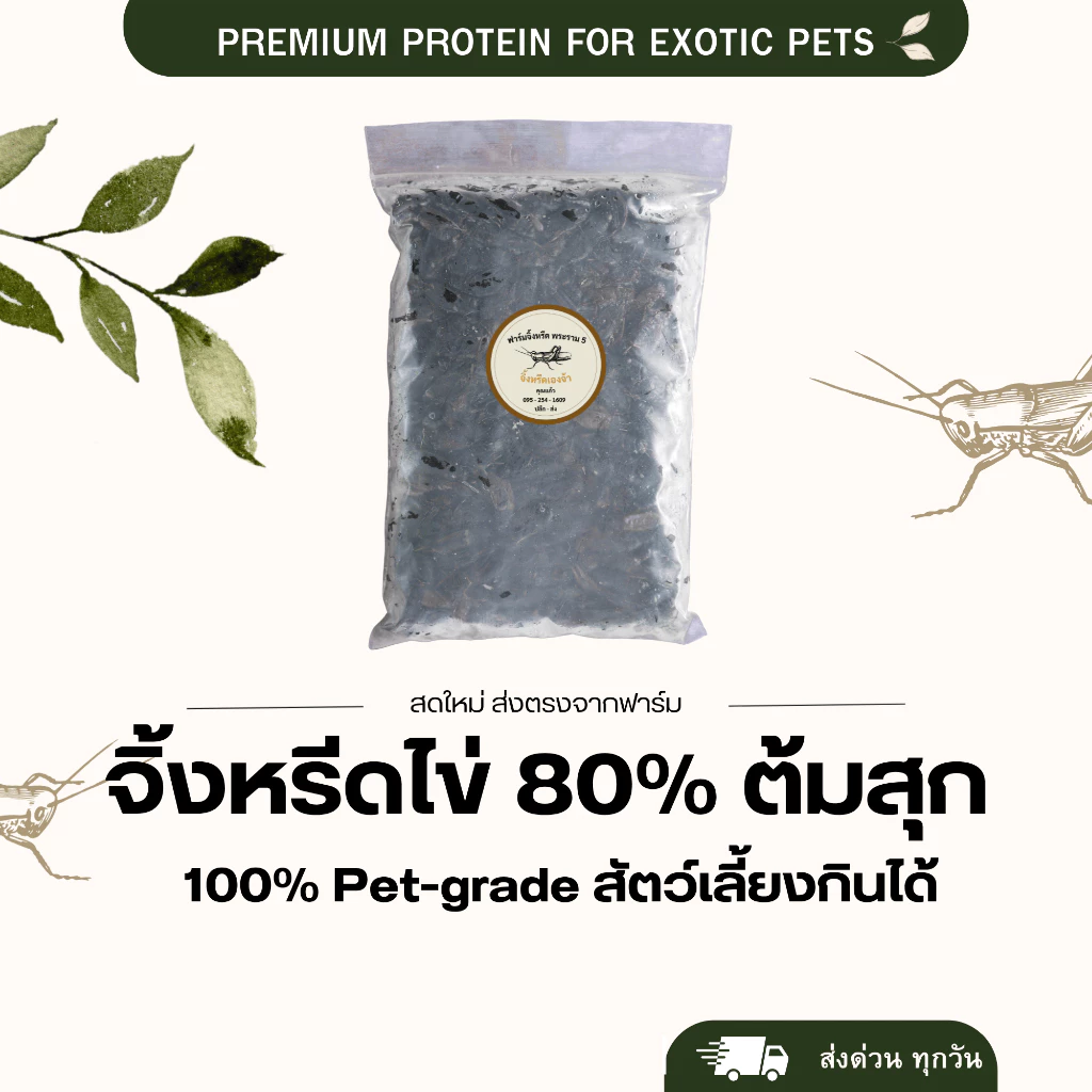 จิ้งหรีดไข่ แมลงแช่แข็ง สำหรับสัตว์เลี้ยง