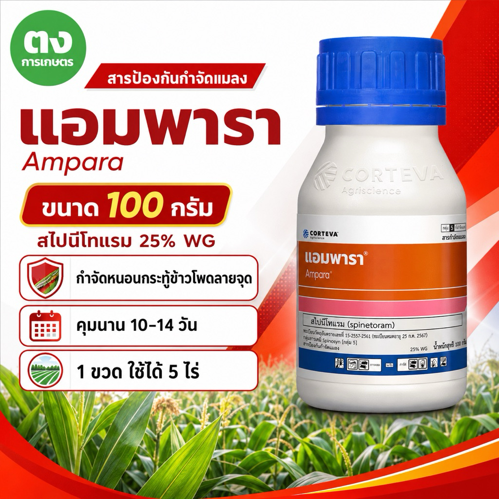 โฉมใหม่! แอมพารา คอร์เทวา สไปนีโทแรม Spinetoram 25% WG ขนาด 100 กรัม สารกำจัดแมลง กำจัดหนอน เพลี้ยไฟ