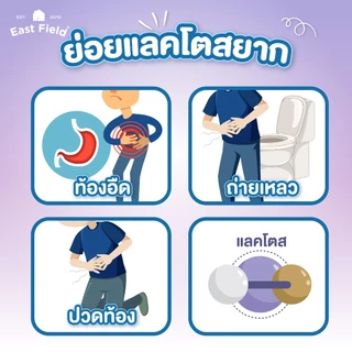 ( 9กล่อง ) EAST FIELD LACTOSE FREE นมอีสฟิลด์สูตรแลคโตสฟรี ปราศจากน้ำตาลแลคโตส 180 มล.