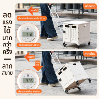 TD ถเข็นพับได้ 50L-200L รับน้ำหนัก 150kg ล้อปีนบันได 8 ล้อ ขึ้นบันไดได้ แข็งแรง มีตัวล็อก