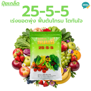 ปุ๋ยเกล็ด แนนชี สูตร 25-5-5 ขนาด1kg.ฉีดทางใบ แตกยอดไว เร่งใบ ฟื้นต้น ใบเขียว ใบใหญ่ ปุ๋ย ต้นสมบรูณ์