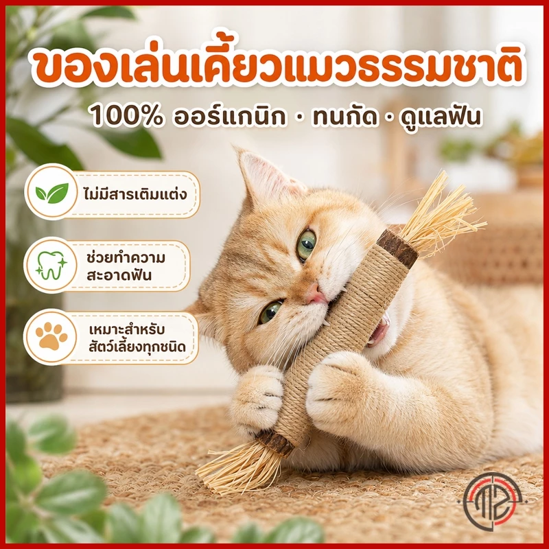 ไม้แมวเมา ไม้มาทาทาบิ ขัดฟันแมว ไม้ขัดฟัน ลดคราบหินปูน ของเล่นแมว ไม้แปรงฟันแมว