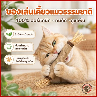ไม้แมวเมา ไม้มาทาทาบิ ขัดฟันแมว ไม้ขัดฟัน ลดคราบหินปูน ของเล่นแมว ไม้แปรงฟันแมว